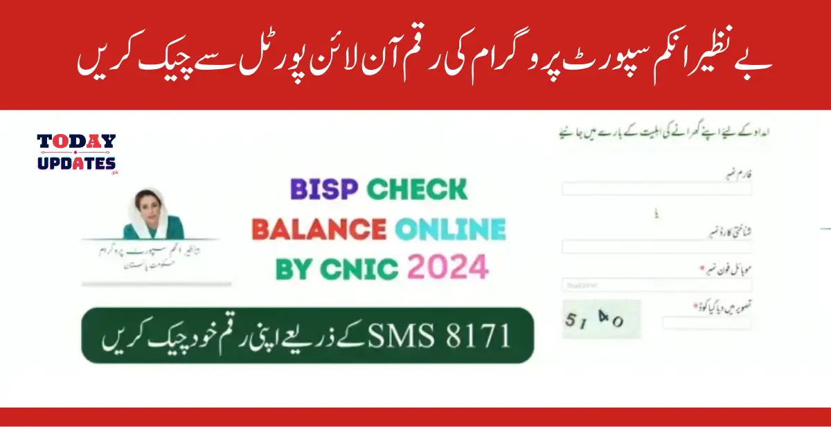 BISP Check Balance Online By CNIC 2024 October Update