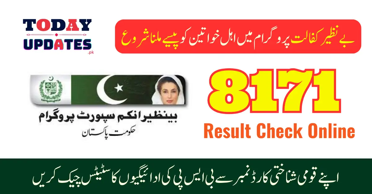 Step-by-Step Guide to Check Ehsaas 8171 Result 2024 via CNIC