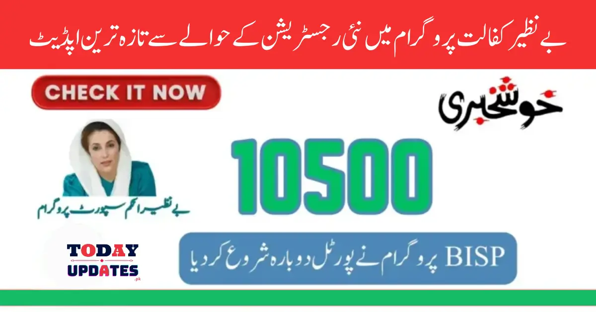 Benazir Ehsaas Program Check New Registration With Easy Method 20 October 2024