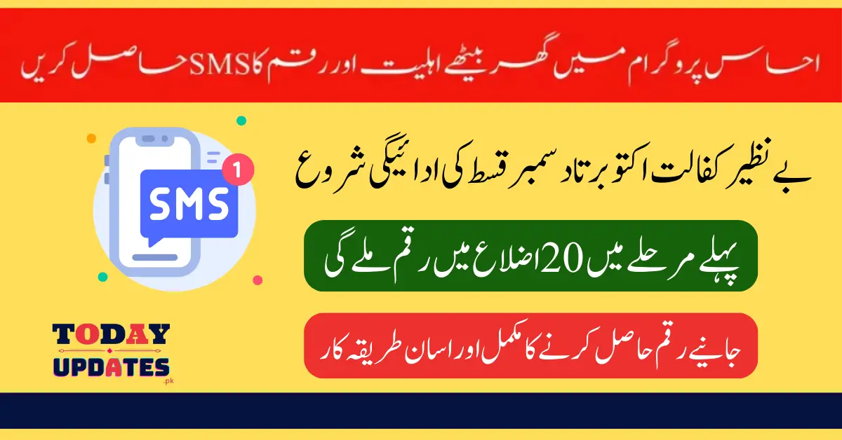 Government of Pakistan: Check Your Ehsaas Payment Status Online via 8171