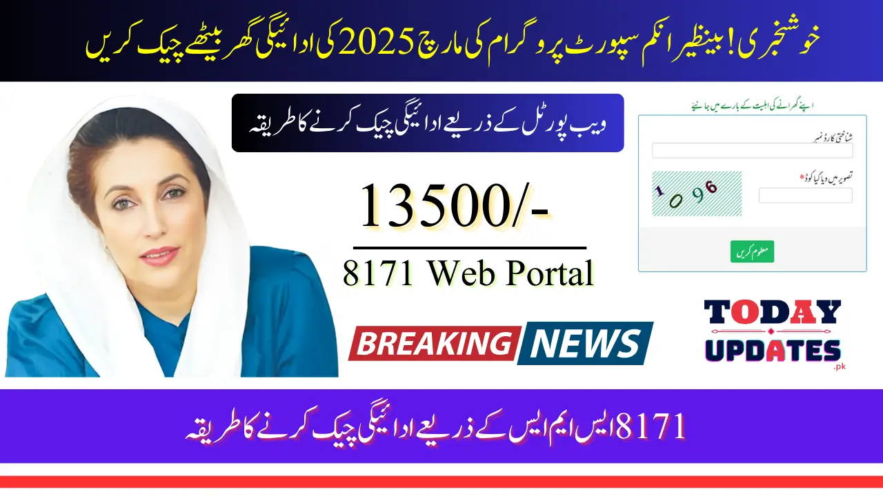 BISP 8171 Result Check Online By CNIC Easily Through Portal Know Complete Process