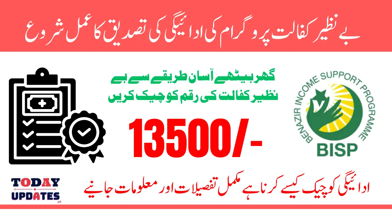 How to Track Your Application Status After Submit Registration For Benazir Kafalat 13500 Payment in 2025